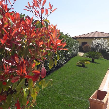 Tenuta La Ginestra Ornaro Exterior photo