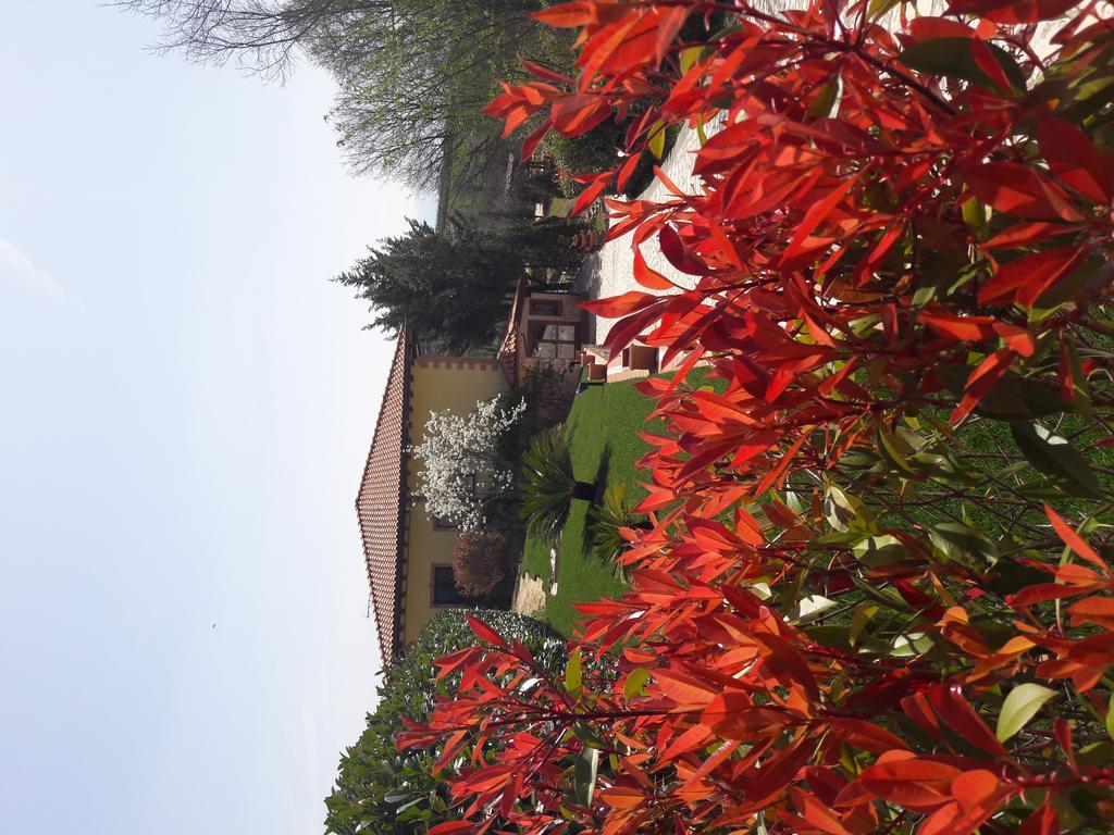 Tenuta La Ginestra Ornaro Exterior photo